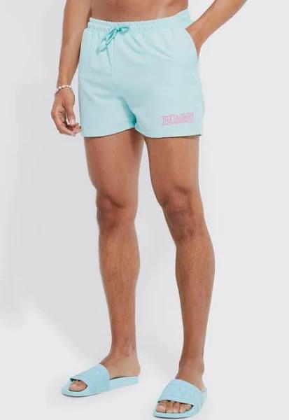Mens Mint Short Length Homme Plain Swim Shorts