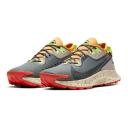 Mens Nike Pegasus Trail 2 GORE-TEX - Grey