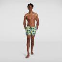 Mens Printed Leisure 14" Watershort