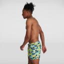 Mens Printed Leisure 14" Watershort