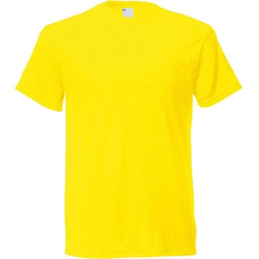 Mens Short Sleeve Casual T-Shirt (Bright Yellow) (X Large)