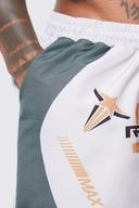 Mens Taupe Short Length Racing Swim Shorts