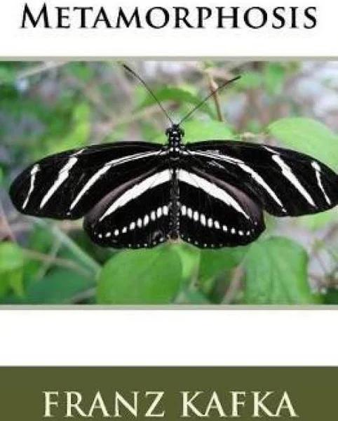 Metamorphosis | Click & Collect Available | | in Stock