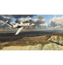 Microsoft Flight Simulator