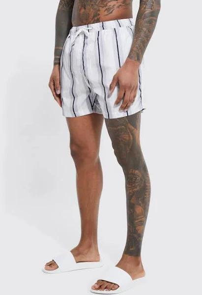 Mid Length Stripe Swim Shorts