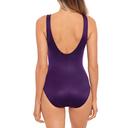 Miraclesuit Rock Solid Revele One-Piece - Nova - Size 14
