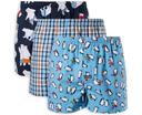 Mitch Dowd Polar Bears & Penguins 3 Pack Cotton Boxer