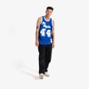Mitchell & Ness NBA Swingman Jersey Los Angeles Lakers Jerry West 44 60-61 L