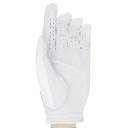 Mizuno 2020 Elite Golf Glove