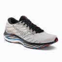 Mizuno Wave Rider 26