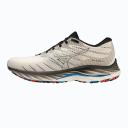 Mizuno Wave Rider 26