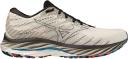 Mizuno Wave Rider 26