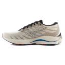 Mizuno Wave Rider 26