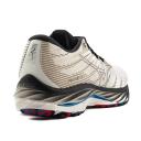 Mizuno Wave Rider 26