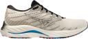 Mizuno Wave Rider 26