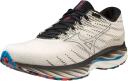 Mizuno Wave Rider 26