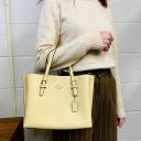 Mollie Tote 25