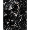 Monaco 155cm x 245cm Black Bohemian, Floral Area Rug