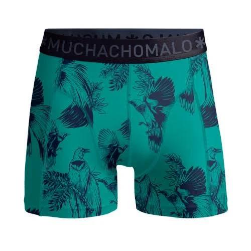 Muchachomalo Boys Boxershort Birds | Size: 104 | Color: Aqua/Print