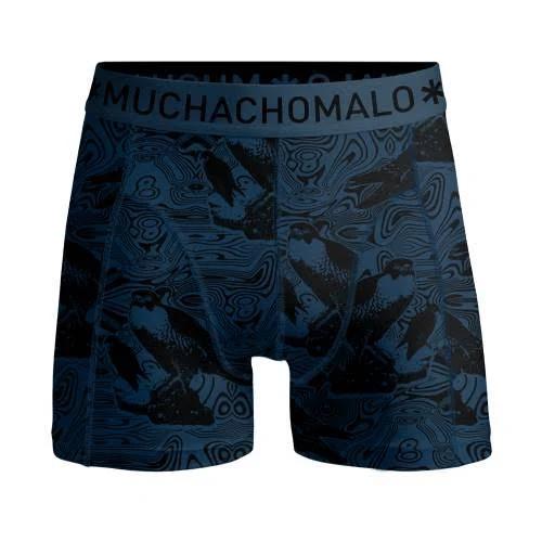 Muchachomalo Boys Boxershort Eagle | Size: 110/116 | Color: Petrol