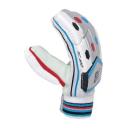 New Balance TC 460 Cricket Batting Gloves SJLH
