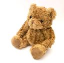 New - Happy Birthday Evie - Teddy Bear - Cute Soft Cuddly - Adorable Gift Present