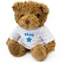 New - I'm Sorry Victoria - Teddy Bear - Cute Soft Cuddly - Gift Presen