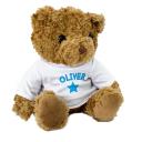 New Oliver Teddy Bear - Cute and Cuddly - Gift Present Birthday Xmas O
