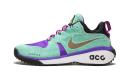Nike ACG Dog Mountain 38.5