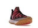 Nike ACG Mountain Fly Low