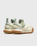 Nike ACG Mountain Fly Low GTX SE