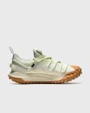 Nike ACG Mountain Fly Low GTX SE
