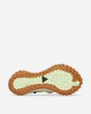 Nike ACG Mountain Fly Low GTX SE