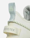 Nike ACG Mountain Fly Low GTX SE