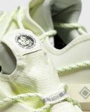 Nike ACG Mountain Fly Low GTX SE