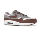 Nike Air Max 1 Premium 'Shima Shima'