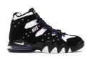 Nike Air Max 2 CB 94 Black Purple (2015)