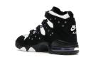 Nike Air Max 2 CB 94 Black Purple (2015)