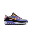 Nike Air Max 90 ACG (GS)