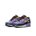 Nike Air Max 90 ACG (GS)