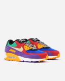 Nike Air Max 90 'Viotech'