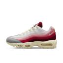 Nike Air Max 95 QS Anatomy of Air