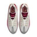 Nike Air Max 95 QS Anatomy of Air