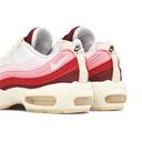 Nike Air Max 95 QS Anatomy of Air