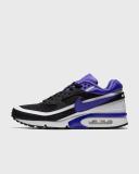 Nike Air Max BW OG Persian Violet (2021)