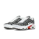 Nike Air Max Plus Essential Crater