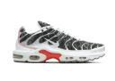 Nike Air Max Plus Essential Crater