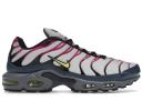 Nike Air Max Plus Men's Shoes - Grey