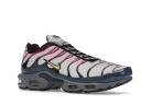 Nike Air Max Plus Men's Shoes - Grey