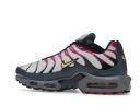 Nike Air Max Plus Men's Shoes - Grey